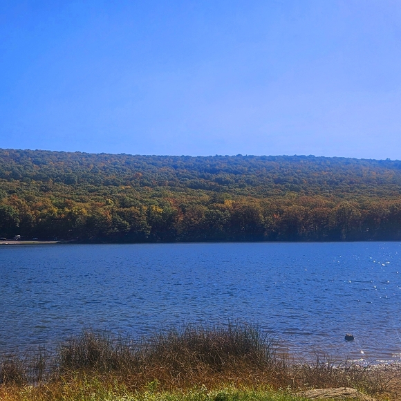 Meet your Posher, Debra - Picture 14 of 16